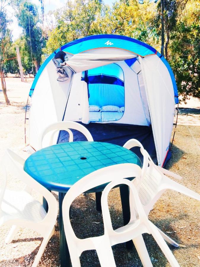 Отель Camping La Naranja Гандия Экстерьер фото
